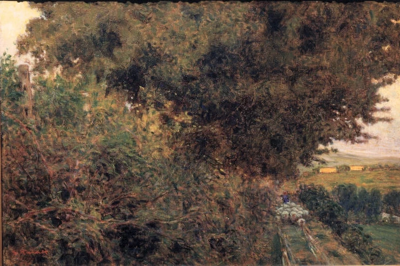 Verso l'ovile - Musei Civici di Pavia